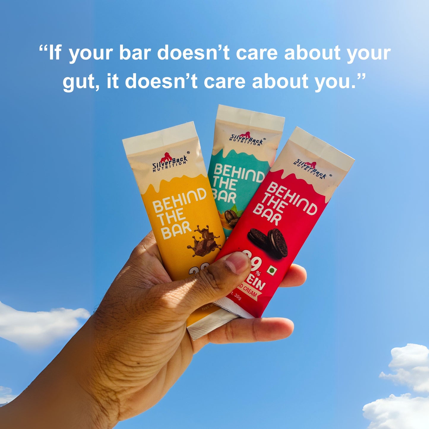 Silverback Nutrition Behind The Bar Protein Bar Box of 6 High-Protein Snack