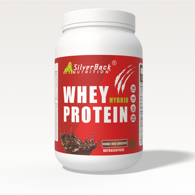 SilverBack Nutrition Whey Hybrid Protein 24 G Protein | easy on Gut | No Added Sugar