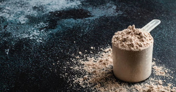 What does whey protein do?