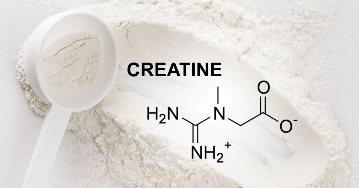 Are creatine supplements safe?