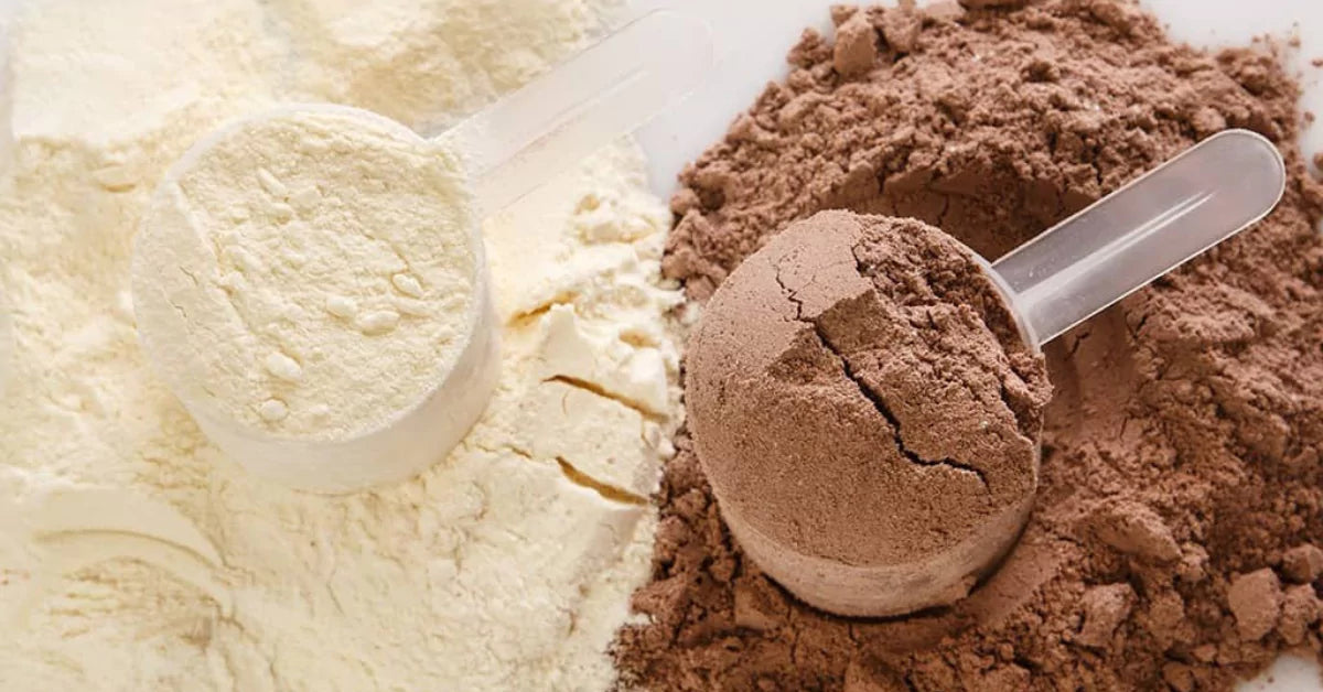 How whey protein is prepared?
