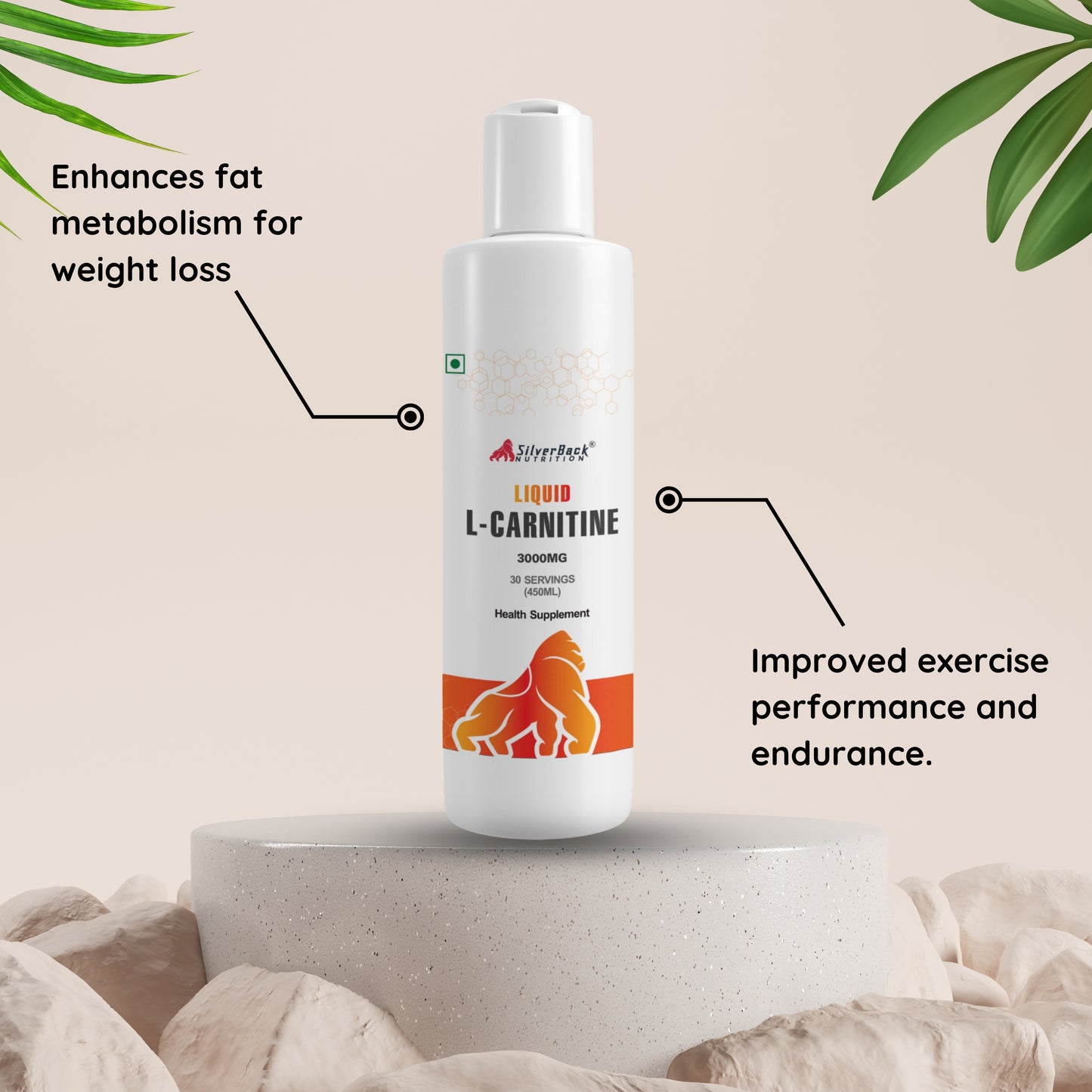 L Carnitine Liquid