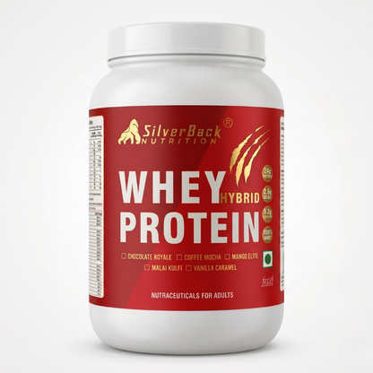 SilverBack Nutrition Whey Hybrid Protein 24 G Protein | easy on Gut | No Added Sugar
