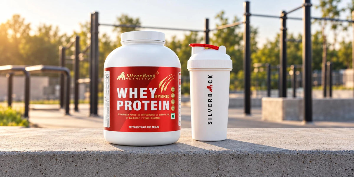 SilverBack Nutrition Whey Hybrid Protein 24 G Protein | easy on Gut | No Added Sugar