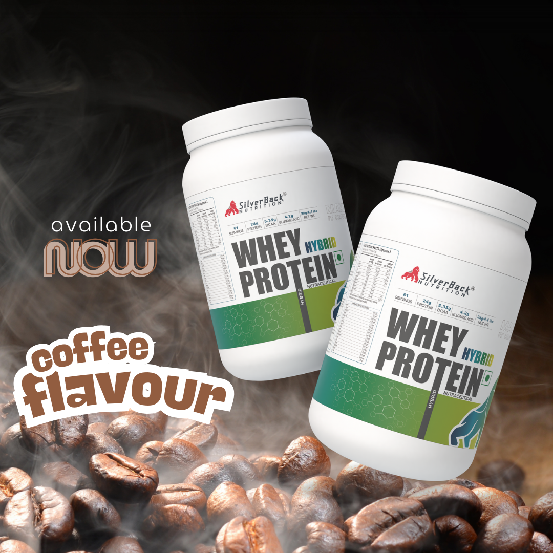 Whey Protein Hybrid 2 kg | 24 G Protein per Scoop