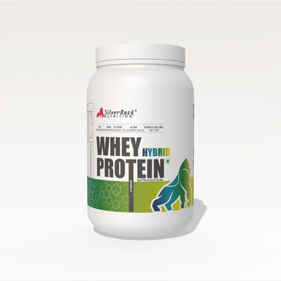 Whey Protein Hybrid 1 kg | 24 G Protein per Scoop